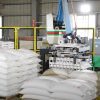 YLM - Articulated Robot - 160kg Robotic Palletizer
