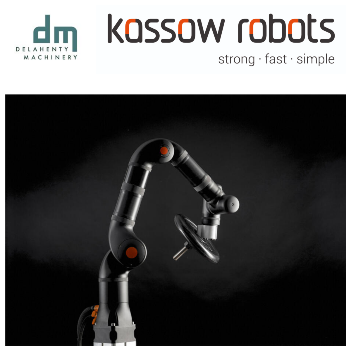 Delahenty Machinery Welcomes A New Partnership With Kassow Robots